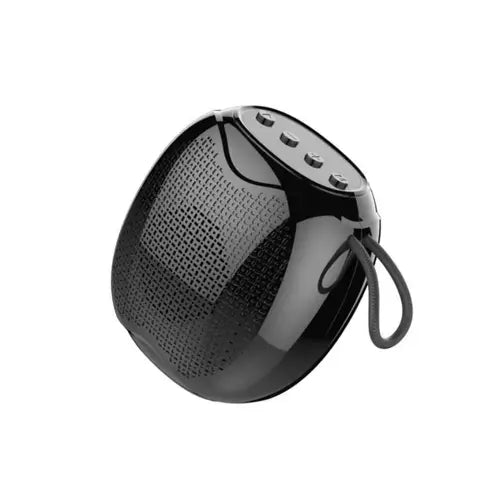 Bluks BX-171 Portable Wireless Speaker